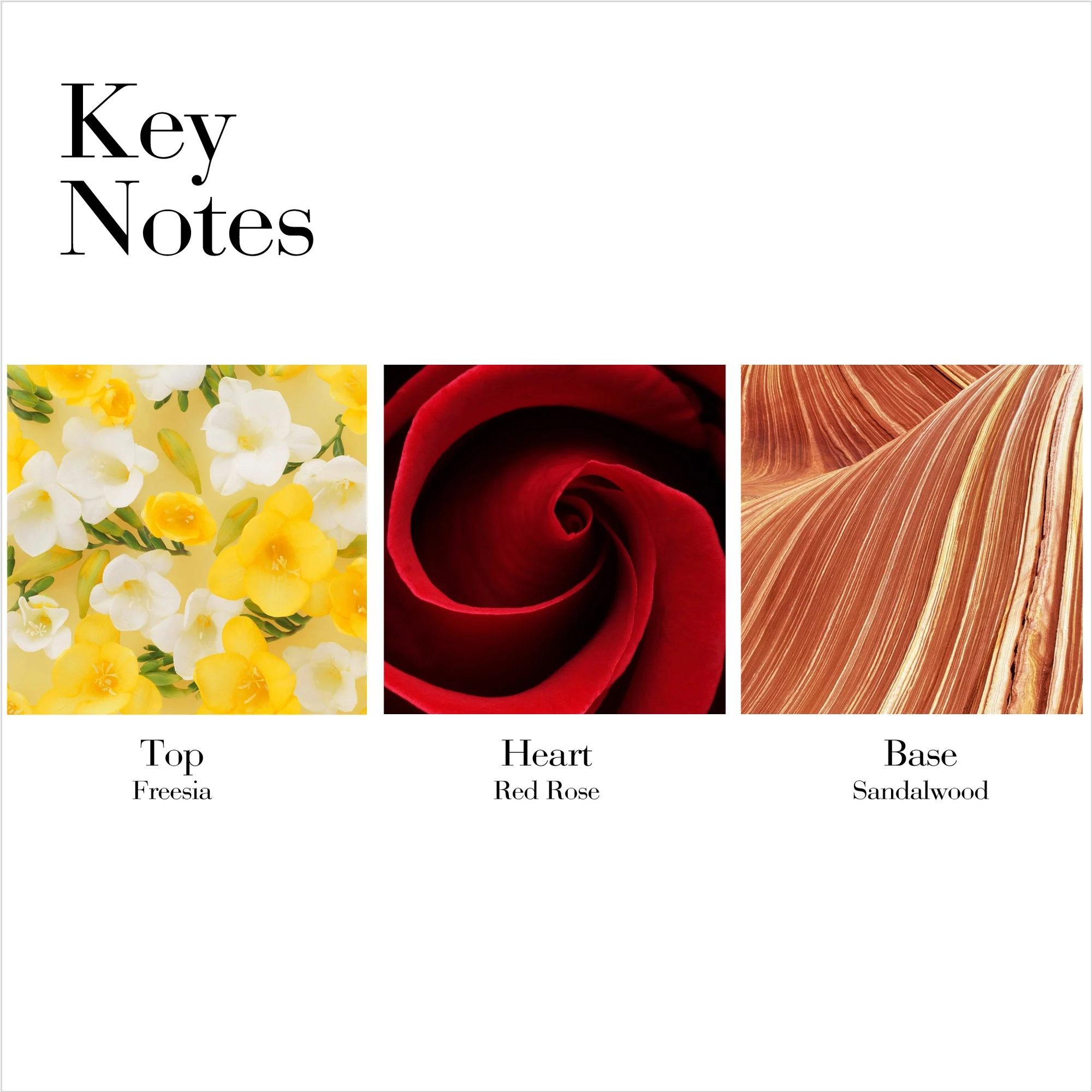 Elizabeth Arden Red Door Eau De Toilette, Perfume for Women, 3.3 fl oz - Image 5